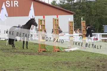 5925_ma_05_IMG_0727.JPG