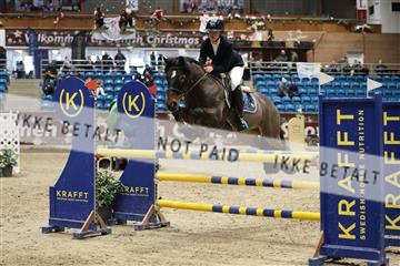 175934_avh_02_7448.JPG