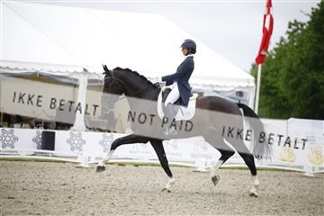 181449_jss_01__6II1763.JPG