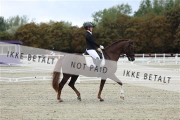 181923_mtp_02_R62_7030.JPG