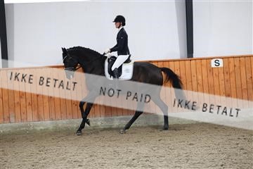 175681_avh_01_R62_0889.JPG