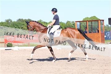 181449_bc_01R62_6129.JPG