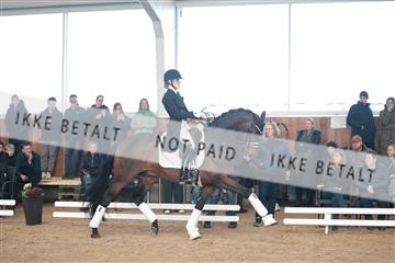 179022_kbb_01_R6II2438.JPG