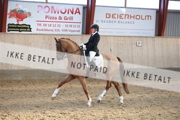 173782_mtp_01_3M5A7846.JPG