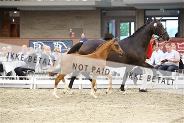 174806_jss_04_R6II4328.JPG