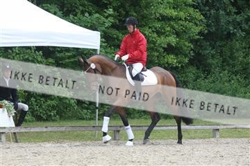 135518_ms_01_IMG_0956.JPG