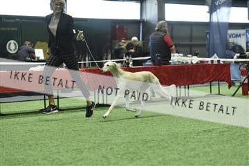 163793_bkn_01__BKN9377.JPG
