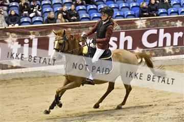 161006_abo_01__D052108.JPG