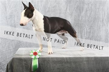 129608_le_ 02_0270.JPG