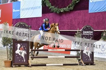 161006_abo_01__D051078.JPG