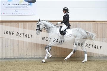 160111_nn_01__ESK1570.JPG