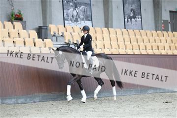181852_mtp_03_R62_2476.JPG
