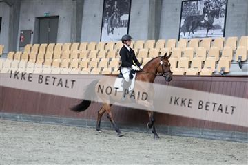 181852_mtp_01_R62_1486.JPG