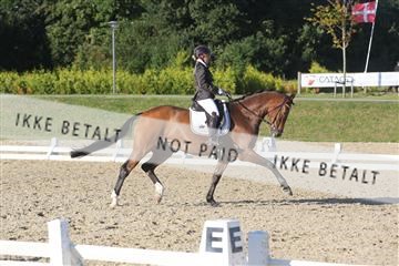148862_sg_01_IMG_2516.JPG