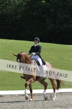 135676_sg_01_IMG_7711.JPG