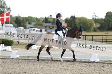181894_mtp_02_R62_1544.JPG