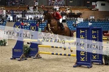 175934_avh_02_7355.JPG