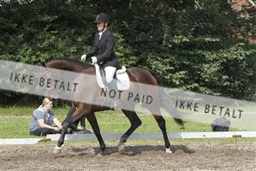 130918_sc_01_IMG_0392.jpg