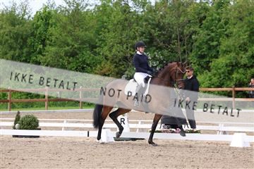 181449_bc_01R62_6621.JPG