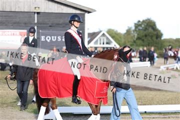 181894_mtp_05_R62_5933.JPG