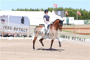 181449_bc_01R62_5944.JPG
