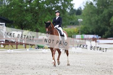 181923_mtp_01_R62_6432.JPG