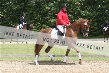 135518_ms_01_IMG_1798.JPG