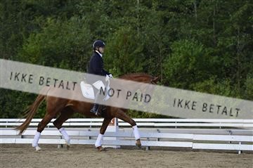 136195_abo_01__AB15545.JPG