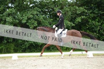 162958_mep_01_DSC_6594.JPG