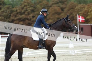 181923_mtp_02_R62_7132.JPG