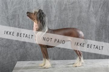 129608_le_ 01_0763.JPG