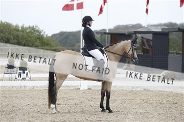 166629_rhj_01_J7R4697.JPG