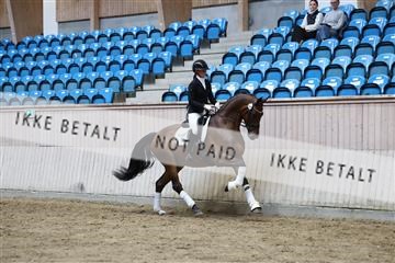 181887_mtp_02_R62_7731.JPG