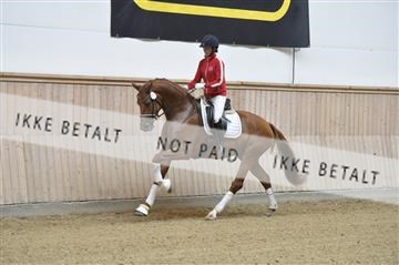 160111_nn_01__ESK1776.JPG
