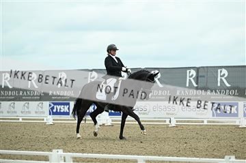 181449_kbb_03Z09_0207.JPG