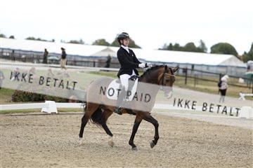 181894_mtp_02_R62_1366.JPG