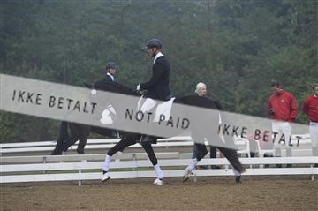 136195_abo_01__AB15032.JPG