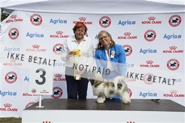 181848_kar_01__62_3843.JPG