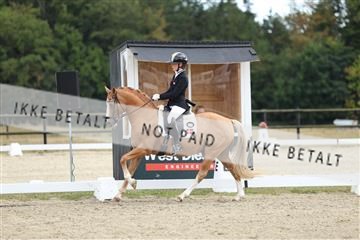 181894_mtp_03_R62_2993.JPG