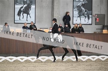 175601_kuo_01_Z09_1706.JPG