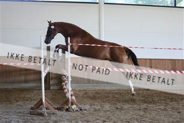 181804_mlm_01_R62_8551.JPG