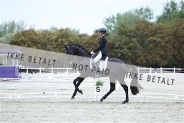 181923_mtp_01_R62_6578.JPG