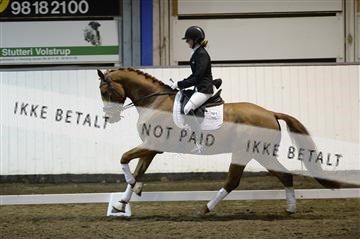141472_abo_01__AB15148.JPG