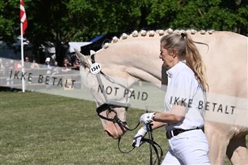 174726_jbr_01_JBR_3598.JPG