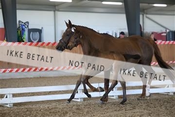 181756_mtp_03_R62_2952.JPG