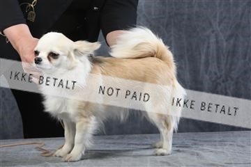 129608_le_ 01_0573.JPG