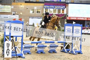 161006_abo_01__D050744.JPG
