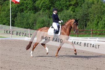 181449_bc_01R62_6560.JPG
