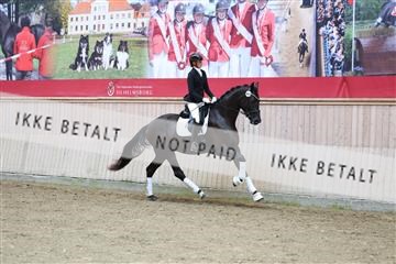 181887_mtp_04_R62_9214.JPG