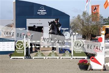 181436_avh_01_3186.JPG